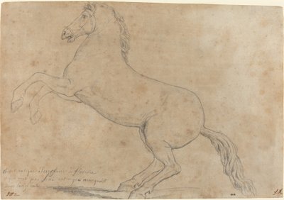 Een Antiek Beeld van een Paard door Jacques Louis David