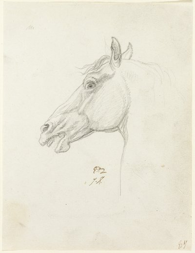 Paardenhoofd door Jacques Louis David