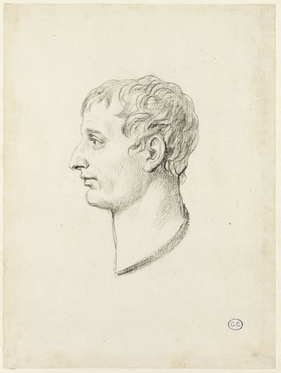 Profiel van Napoleon door Jacques Louis David