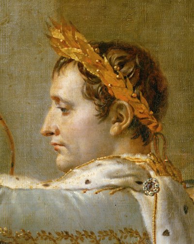 De kroning van Napoleon in de Notre-Dame ... door Jacques Louis David