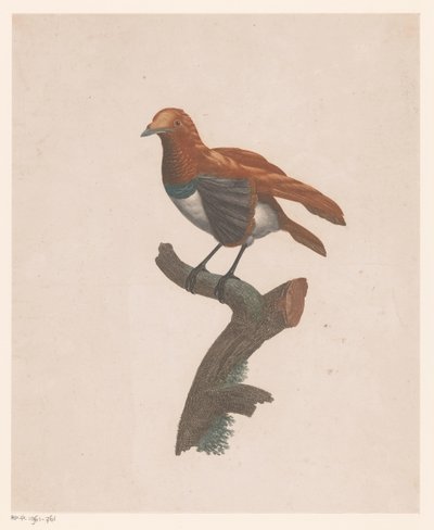 Vogel op een tak door Jacques Louis Perée