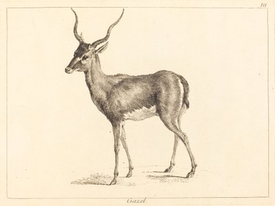 Gazelle door Jacques Philippe Le Bas and Jean Eric Rehn after Jean Baptiste Oudry