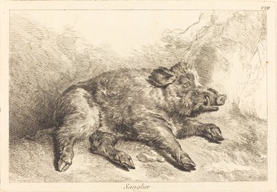 Wild Zwijn Liggend, Hoofd naar Rechts door Jacques Philippe Le Bas and Jean Eric Rehn after Jean Baptiste Oudry