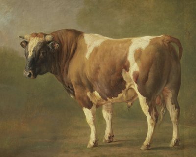 Studie van een stier door Jacques Raymond Brascassat