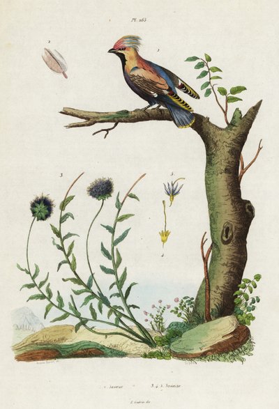 Pestvogel en schapenzuring door Jacques Reyne Isidore Acarie Baron