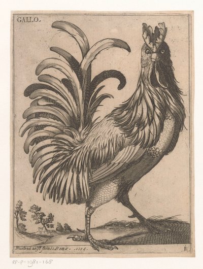 Haan door Jacques de Fornazeris