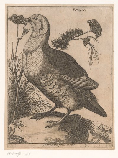 Patrijs (Negen vogels) door Jacques de Fornazeris