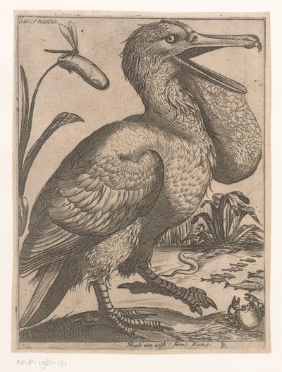 Watervogel door Jacques de Fornazeris