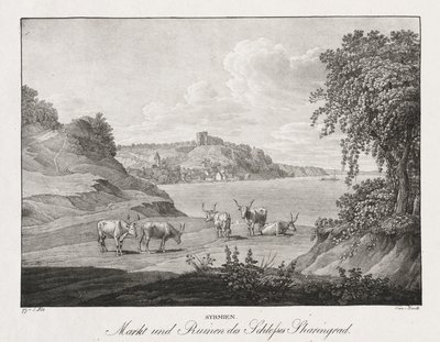 Syrmië, Markt en Ruïnes van het Kasteel Sharengrad door Jakob Alt