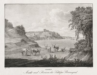 Syrmien, markt en ruïnes van het kasteel Sharengrad door Jakob Alt