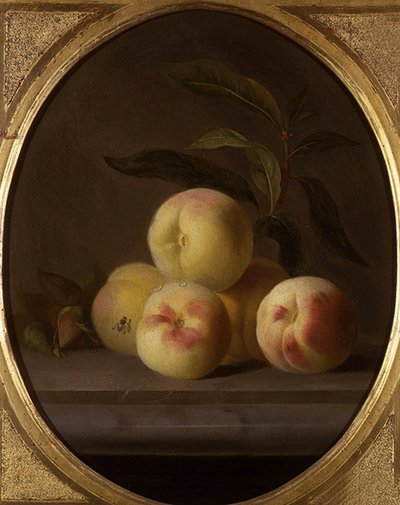 Stilleven van fruit met een vlieg door Jakob Bogdani or Bogdany