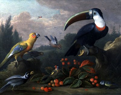 Toekan met Andere Vogels door Jakob Bogdani or Bogdany