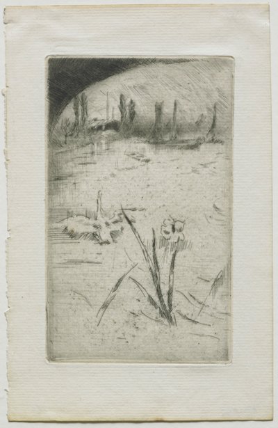 Zwaan en iris door James Abbott McNeill Whistler
