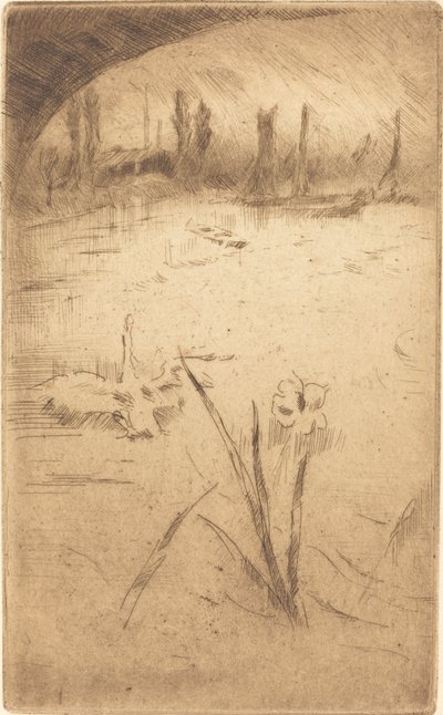 Zwaan en Iris, gepubliceerd 1883 door James Abbott McNeill Whistler