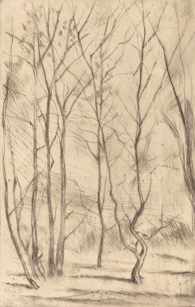 Het Damhout, 1875 door James Abbott McNeill Whistler