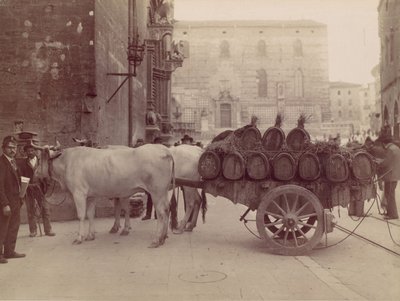 Carro con buoi, Perugia, 1880s door James Anderson
