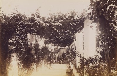 Tuin - Capri door James Anderson