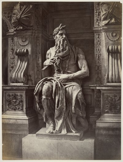 [Michelangelo