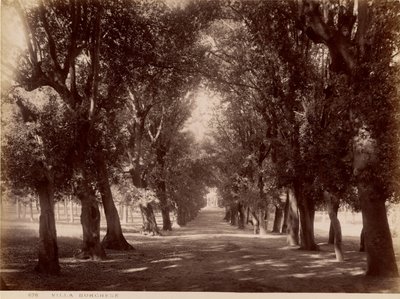 Villa Borghese door James Anderson