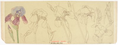 Botanische studies, 1900-30 door James Atherton