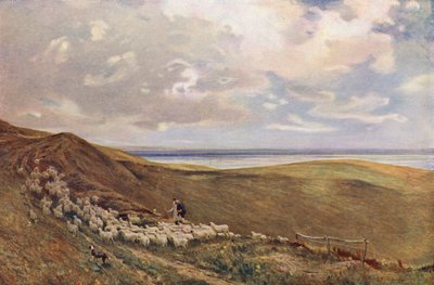 Op de South Downs bij Brighton door James Aumonier