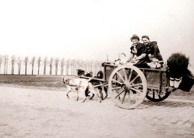 Honden trekken vrouwen op een kar, Antwerpen, 1898 door James Batkin