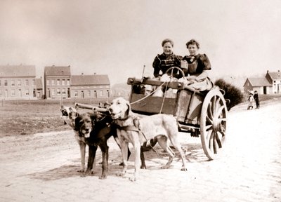 Honden trekken vrouwen op een kar, Antwerpen, 1898 door James Batkin