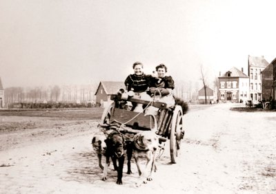 Honden trekken vrouwen op een kar, Antwerpen door James Batkin