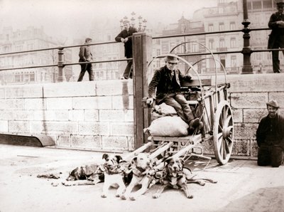 Man met hondenkar, Antwerpen, 1898 door James Batkin