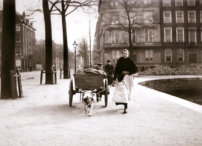 Vrouw met hondenkar, Rotterdam, 1898 door James Batkin