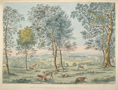 Uitzicht vanaf Dynevor Castle, Carmarthen door James Bretherton