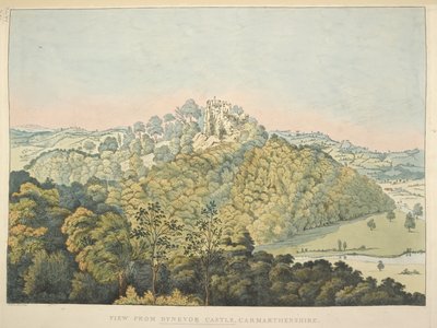 Uitzicht vanaf Dynevor Castle, met uitzicht op de rivier Towy en Golden Grove door James Bretherton