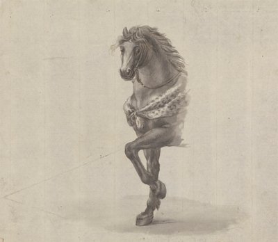 Studie van de voorkant van een paard door James Bruce