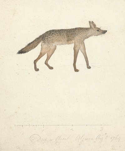 Wolf door James Bruce