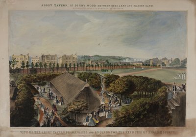 Uitzicht op de promenades en tuinen van de Abbey Taverns, Violet Hill, Marylebone, c.1870 door James D Barnett