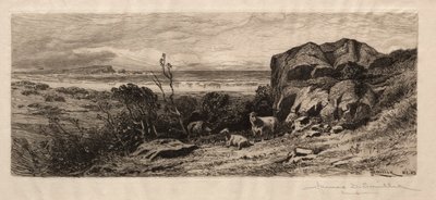 Bij Marblehead Neck, 1883 door James David Smillie