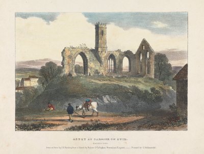 Abdij bij Carrick on Suir door James Duffield Harding