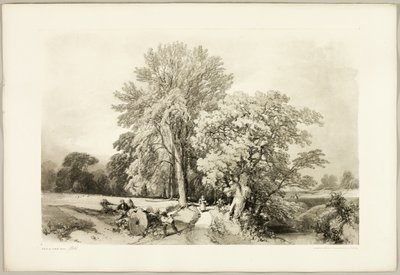 Abele en Eik, uit Het Park en het Bos door James Duffield Harding