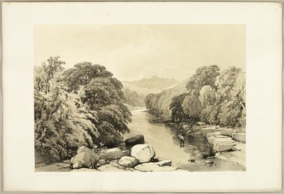 Esdoorn, Es en Eik, uit Het Park en het Bos door James Duffield Harding