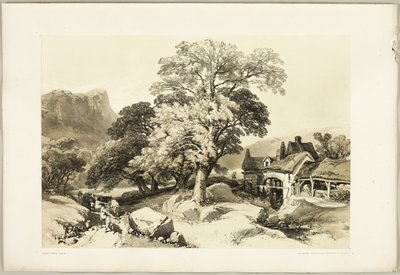 Es en Eik, uit Het Park en het Bos door James Duffield Harding