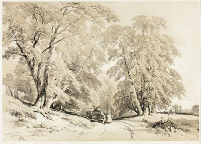 As, uit Het park en het bos door James Duffield Harding