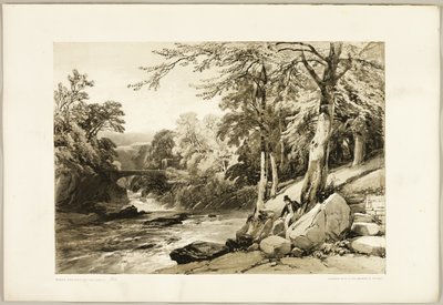 Beuk en es aan de Greta, uit Het park en het bos door James Duffield Harding
