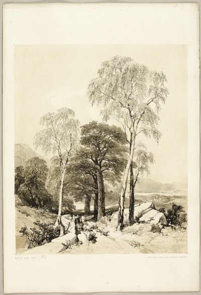 Berken en eiken, uit Het park en het bos door James Duffield Harding