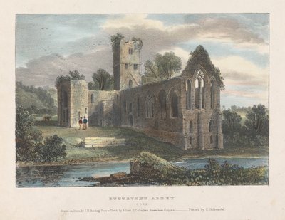 Buttevent Abbey door James Duffield Harding
