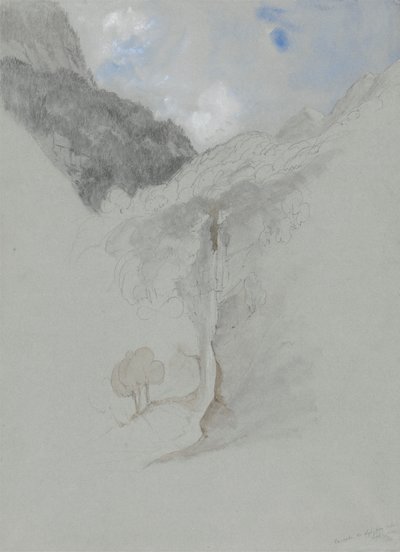 Casade de Lys van Onderaf door James Duffield Harding