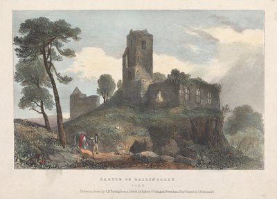 Kasteel van Ballincolly door James Duffield Harding