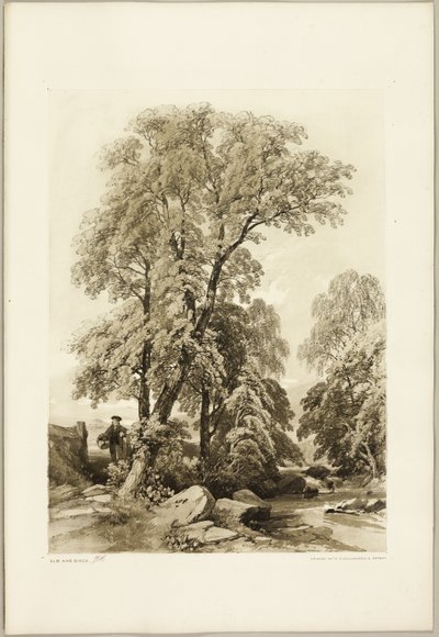 Iep en Berk, uit Het Park en het Bos door James Duffield Harding