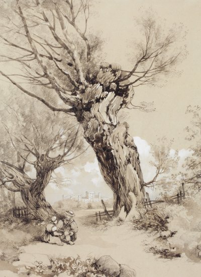  door James Duffield Harding