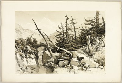 Lariks, uit Het Park en het Bos door James Duffield Harding