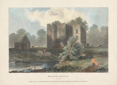 Mallow Castle door James Duffield Harding